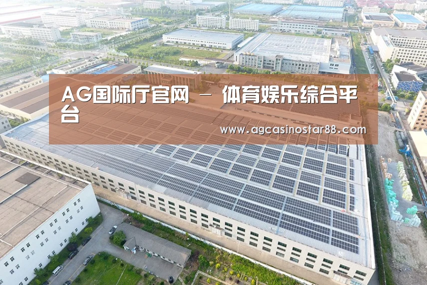 案例展示一