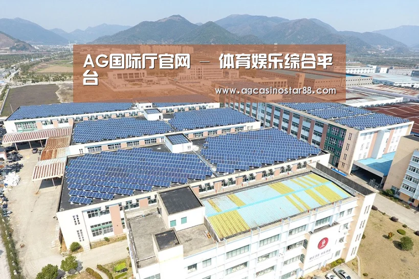 案例展示一