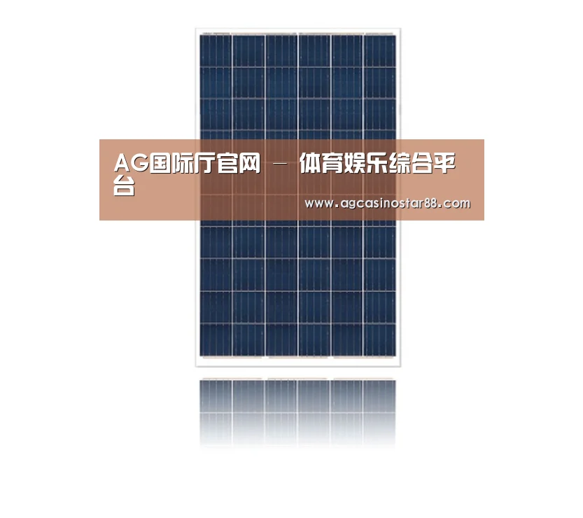 产品名称一