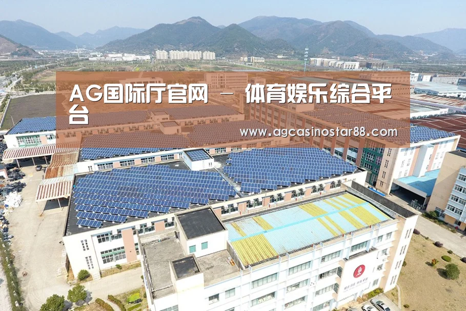 案例展示四