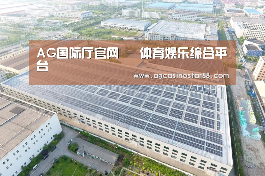 案例展示二