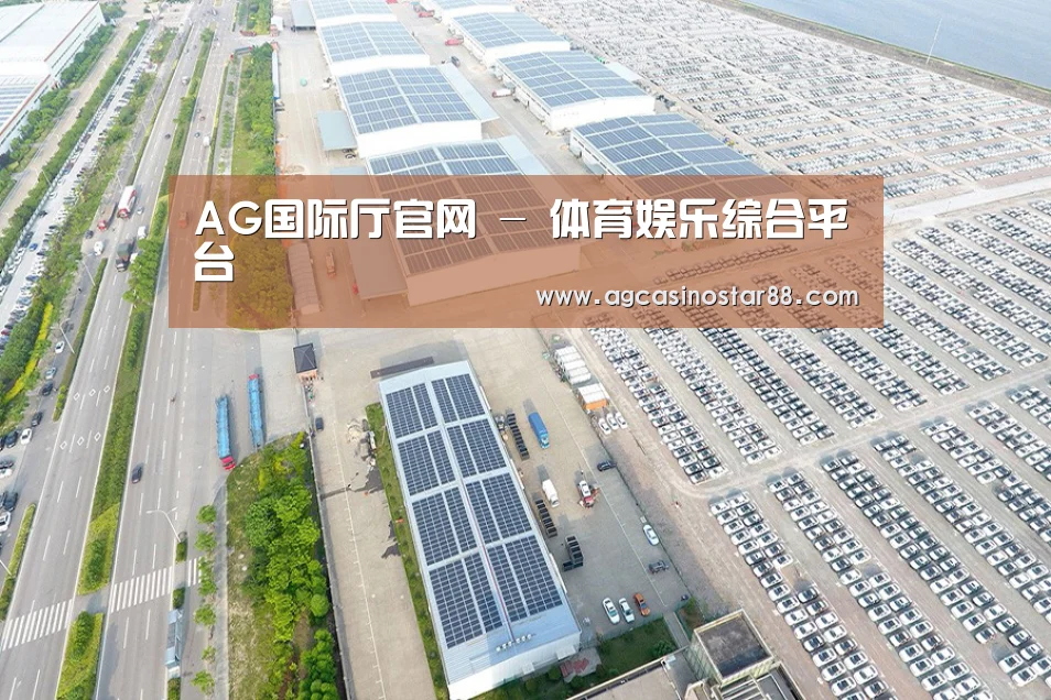 案例展示一