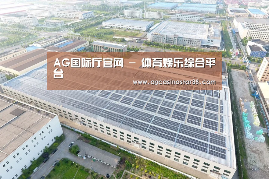 案例展示三