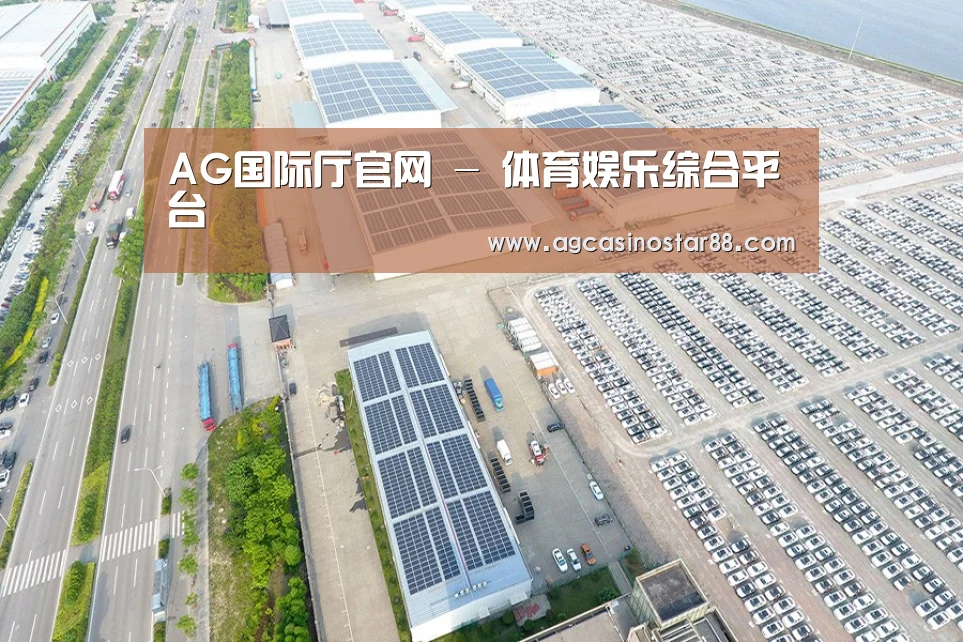 案例展示三