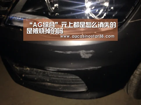“AG综合”元上都是怎么消失的是被烧掉的吗(图2) AG百家乐