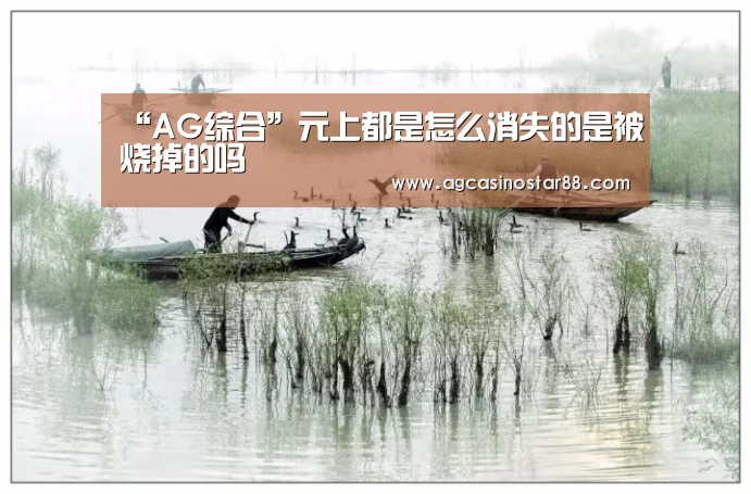 “AG综合”元上都是怎么消失的是被烧掉的吗(图4) AG百家乐