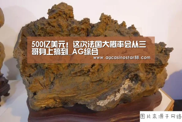 500亿美元!这次法国大概率会从三哥身上搞到_AG综合(图2) AG百家乐