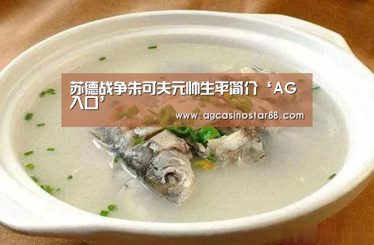 苏德战争朱可夫元帅生平简介‘AG入口’(图3) AG直播