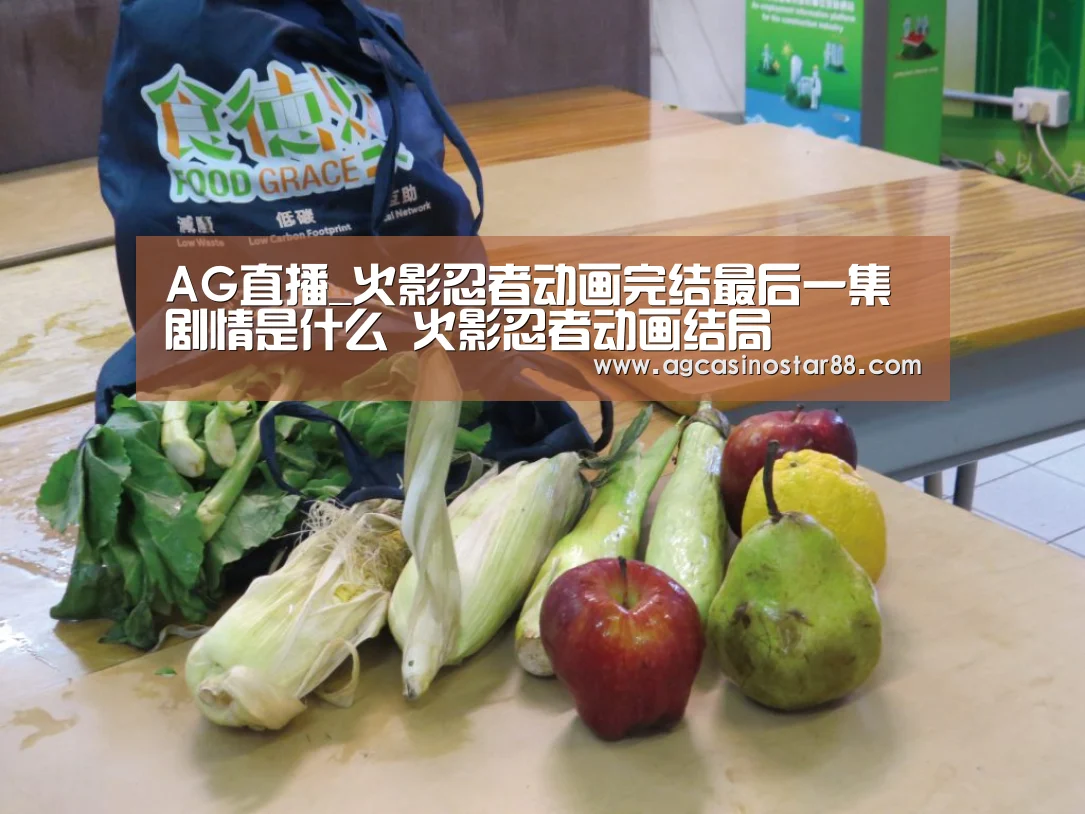 AG直播_火影忍者动画完结最后一集剧情是